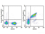 AF/LE Purified Anti-Mouse TCRβ Antibody[H57-597 (HB218)]