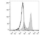 FITC Anti-Mouse TCRβ Antibody[H57-597 (HB218)]