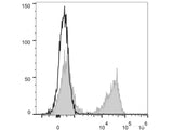 PE Anti-Mouse TCRβ Antibody[H57-597 (HB218)]