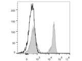 Elab Fluor® 488 Anti-Mouse TCRβ Antibody[H57-597 (HB218)]