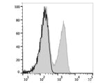 Elab Fluor® Violet 450 Anti-Mouse TCRβ Antibody[H57-597 (HB218)]