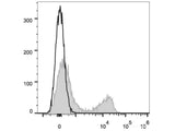 APC Anti-Mouse TCRβ Antibody[H57-597 (HB218)]