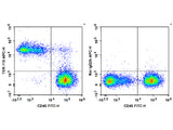 APC Anti-Mouse TER-119 Antibody[TER-119]