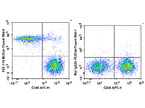 PE/Elab Fluor® 594 Anti-Mouse TER-119 Antibody[TER-119]