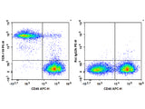 PE Anti-Mouse TER-119 Antibody[TER-119]