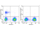 PE/Elab Fluor® 594 Anti-Human CD19 Antibody[4G7]