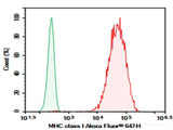 Purified Anti-Human HLA-A,B,C Antibody[W6/32]