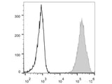 Elab Fluor® 488 Anti-Human HLA-A,B,C Antibody[W6/32]