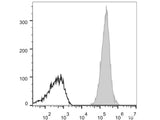 Elab Fluor® 647 Anti-Human HLA-A,B,C Antibody[W6/32]