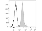 PE Anti-Mouse CD274/PD-L1 Antibody[10F.9G2]