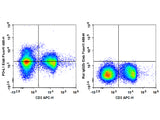 Elab Fluor® 488 Anti-Mouse CD274/PD-L1 Antibody[10F.9G2]