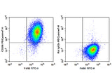 PE/Cyanine7 Anti-Mouse CD206/MMR Antibody[C068C2]