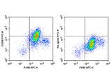 FITC Anti-Mouse CD206/MMR Antibody[C068C2]