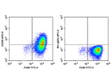 APC Anti-Mouse CD206/MMR Antibody[C068C2]