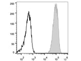 FITC Anti-Mouse CD45 Antibody[30-F11]