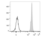 PerCP Anti-Mouse CD45 Antibody[30-F11]