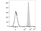 PE/Cyanine7 Anti-Mouse CD45 Antibody[30-F11]