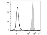 PerCP/Cyanine5.5 Anti-Mouse CD45 Antibody[30-F11]