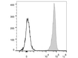 PE/Cyanine5.5 Anti-Mouse CD45 Antibody[30-F11]