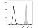 PerCP/Cyanine5.5 Anti-Mouse CD45 Antibody[30-F11]