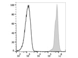 PE/Elab Fluor® 594 Anti-Mouse CD45 Antibody[30-F11]