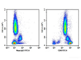 Purified Anti-Human CD45 Antibody[HI30]