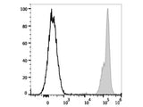 PE/Cyanine7 Anti-Human CD45 Antibody[HI30]