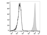 Elab Fluor® 647 Anti-Human CD45 Antibody[HI30]