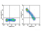 Purified Anti-Human CD45RO Antibody[UCHL1]