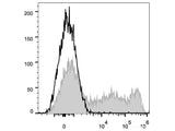 APC Anti-Human CD45RO Antibody[UCHL1]