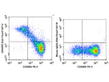 Elab Fluor® 647 Anti-Human CD45RO Antibody[UCHL1]