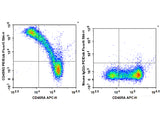 PE/Elab Fluor® 594 Anti-Human CD45RO Antibody[UCHL1]