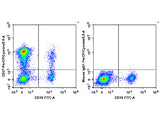 PerCP/Cyanine5.5 Anti-Human CD27 Antibody[O323]