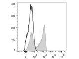 Elab Fluor® 488 Anti-Human CD27 Antibody[O323]