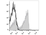 Elab Fluor® 647 Anti-Human CD27 Antibody[O323]