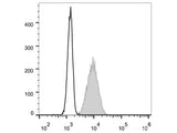 FITC Anti-Human CD10 Antibody[HI10a]