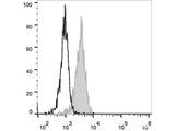 Elab Fluor® 488 Anti-Human CD10 Antibody[HI10a]