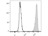 PE Anti-Human CD15/SSEA-1 Antibody[W6D3]