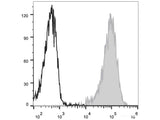 APC Anti-Human CD34 Antibody[581]