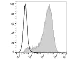 PE/Elab Fluor® 594 Anti-Human CD34 Antibody[581]