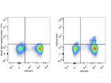 FITC Anti-Human TCR γ/δ Antibody[B1]