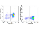 Elab Fluor® Red 780 Anti-Human CD11b Antibody[ICRF44]