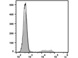 PE Anti-Human CD24 Antibody[ML5]