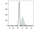 PE Anti-Human CD107a/LAMP-1 Antibody[H4A3]