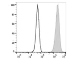 Elab Fluor® 488 Anti-Human CD107a/LAMP-1 Antibody[H4A3]