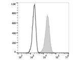 PE/Elab Fluor® 594 Anti-Human CD107a/LAMP-1 Antibody[H4A3]