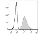 PE Anti-Human CD117/c-Kit Antibody[104D2]