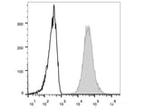 PE/Cyanine7 Anti-Human CD117/c-Kit Antibody[104D2]