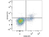 FITC Anti-Human CD122/IL-2RB Antibody[TU27]