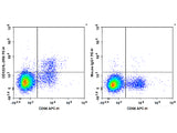 PE Anti-Human CD122/IL-2RB Antibody[TU27]